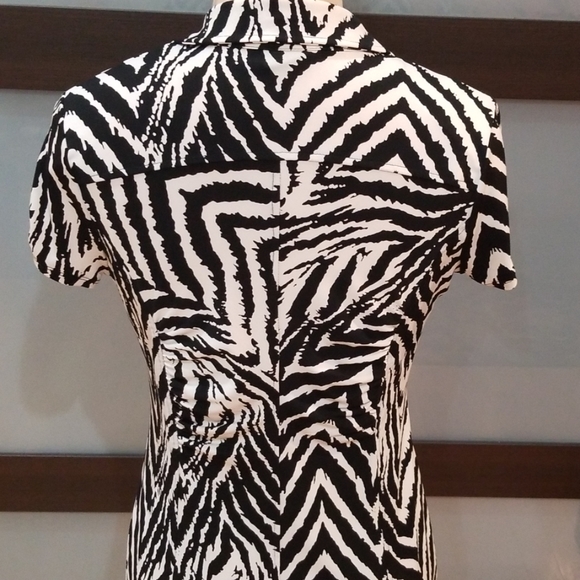 Zebra Print Dress - Picture 5 of 8